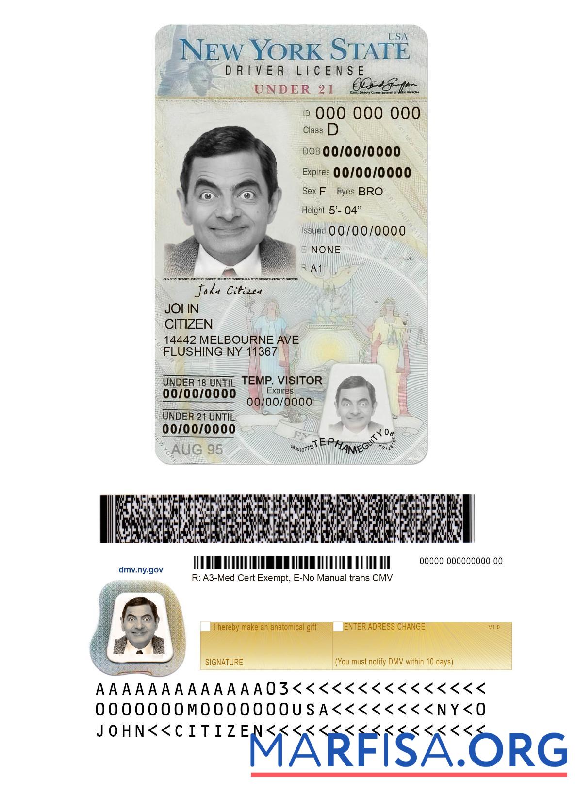 Realistic USA New York driving license under 21 template